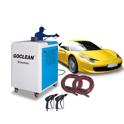NewTech/Bacteriakiller Dropshipping Diesel Mobile Phone Business Area Optima Steam Cleaner Car Engine Wash Steam Machine Wash Safety Valve